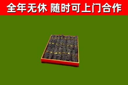 辽中回收海参